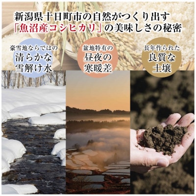 【令和6年産】魚沼産コシヒカリ 「魚沼三昧(R)」2kg×1袋 新潟県 十日町市
