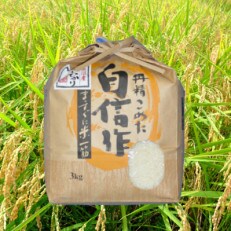 【令和4年度産】魚沼産コシヒカリ自信作　3kg