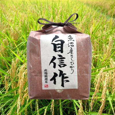 【令和6年産】魚沼産コシヒカリ自信作　3kg