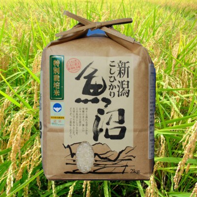 【令和4年度産】魚沼産コシヒカリ特別栽培米 2kg