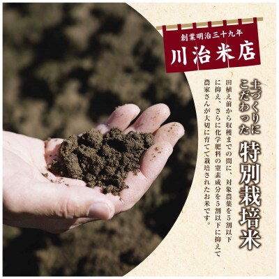 【令和6年産】魚沼産コシヒカリ 特別栽培米 「魚沼三昧(R)」2kg×1袋 新潟県 十日町市