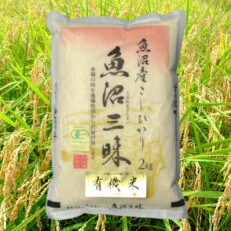 【令和4年度産】魚沼産コシヒカリ有機栽培米　2kg