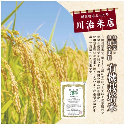 【令和6年産】魚沼産コシヒカリ 有機栽培米 「魚沼三昧(R)」 2kg×1袋 新潟県 十日町市
