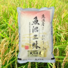 【令和4年度産】魚沼産コシヒカリ天日干米　2kg