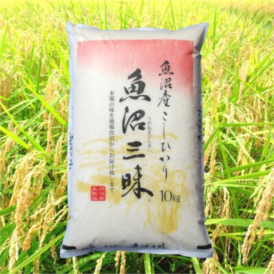 【令和5年産受付】魚沼産コシヒカリ　10kg