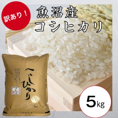 【訳あり】令和4年産　新潟県　十日町市　コシヒカリ　精米済み　5kg