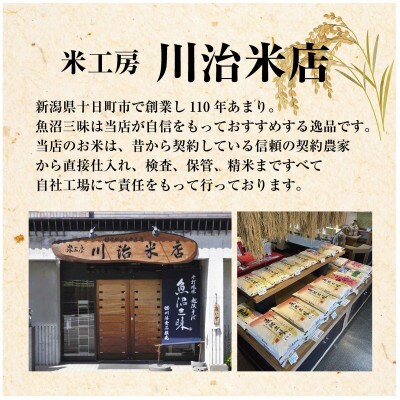 【訳あり】令和4年産　新潟県　十日町市　コシヒカリ　精米済み　5kg×2　合計10kg