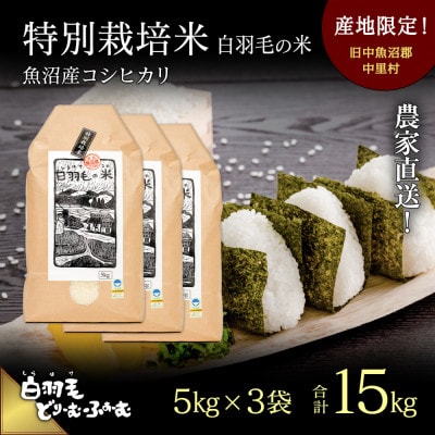 令和7年産　農家直送!魚沼産こしひかり　特別栽培米「白羽毛の米」精米5kg×3袋