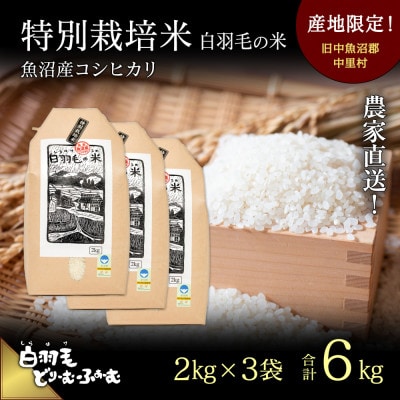 令和5年産　農家直送!魚沼産こしひかり　特別栽培米「白羽毛の米」精米2kg×3袋