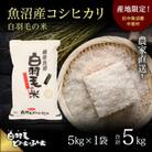令和7年産　農家直送!魚沼産こしひかり「白羽毛の米」精米5kg