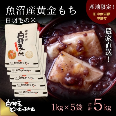 令和7年産　農家直送!魚沼産黄金もち「白羽毛の米」精米1kg×5袋