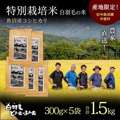 令和7年産　農家直送!魚沼産コシヒカリ特別栽培「白羽毛の米」精米 (300g×5袋)1.5kg