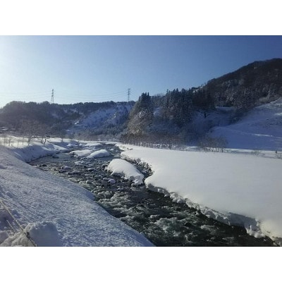 令和7年産　農家直送!魚沼産コシヒカリ特別栽培「白羽毛の米」精米 (300g×5袋)1.5kg