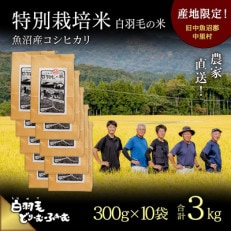 令和5年産 農家直送!魚沼産コシヒカリ特別栽培「白羽毛の米」精米300g&times;10袋 3kg