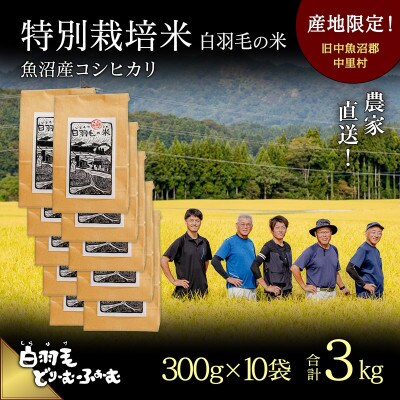 令和7年産　農家直送!魚沼産コシヒカリ特別栽培「白羽毛の米」精米300g×10袋　3kg
