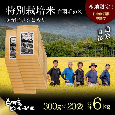 令和7年産　農家直送!魚沼産コシヒカリ特別栽培「白羽毛の米」精米(300g×20袋)6kg