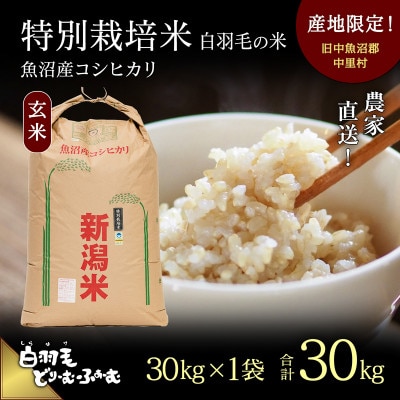 令和5年産 農家直送!魚沼産コシヒカリ特別栽培「白羽毛の米」玄米(30kg