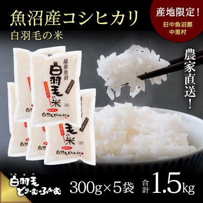 令和7年産　農家直送!魚沼産コシヒカリ「白羽毛の米」精米(300g×5袋)1.5kg