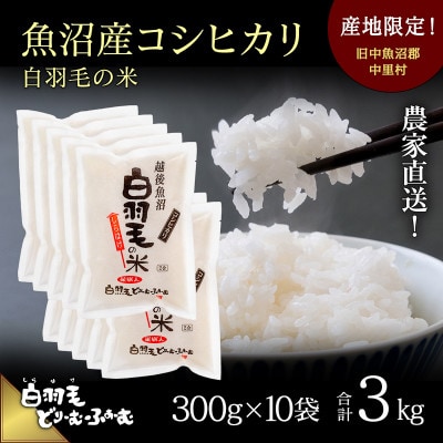令和7年産　農家直送!魚沼産コシヒカリ「白羽毛の米」精米(300g×10袋)3kg