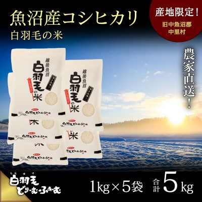 令和7年産　農家直送!魚沼産コシヒカリ「白羽毛の米」精米(1kg×5袋)5kg