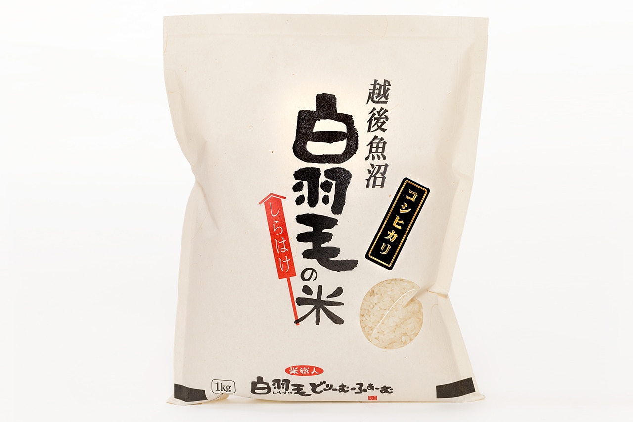 令和7年産　農家直送!魚沼産コシヒカリ「白羽毛の米」精米(1kg×5袋)5kg