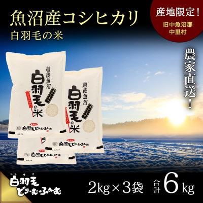 令和7年産　農家直送!魚沼産コシヒカリ「白羽毛の米」精米(2kg×3袋)6kg