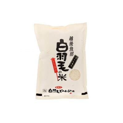 令和7年産　農家直送!魚沼産コシヒカリ「白羽毛の米」精米(2kg×3袋)6kg