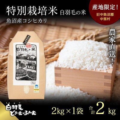 令和8年産農家直送!魚沼産コシヒカリ特別栽培「白羽毛の米」精米 (2kg×1袋)