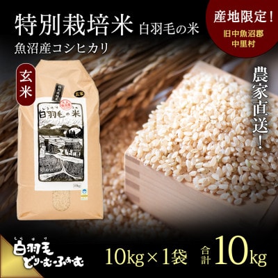 令和8年産　農家直送!魚沼産こしひかり　特別栽培米「白羽毛の米」玄米10kg