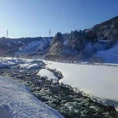 令和8年産　農家直送!魚沼産こしひかり　特別栽培米「白羽毛の米」玄米10kg