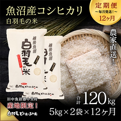 【毎月定期便】農家直送!魚沼産コシヒカリ精米(5kg×2袋)全12回