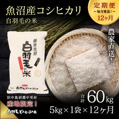 【毎月定期便】農家直送!魚沼産コシヒカリ 精米(5kg×1袋)全12回