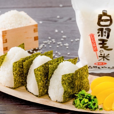 【毎月定期便】農家直送!魚沼産コシヒカリ 精米(5kg×1袋)全12回