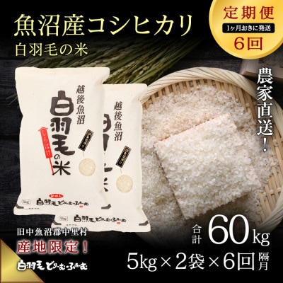 【2ヵ月毎定期便】農家直送!魚沼産コシヒカリ 精米(5kg×2袋)全6回