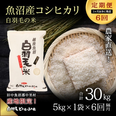 【2ヵ月毎定期便】農家直送!魚沼産コシヒカリ 精米(5kg×1袋)全6回