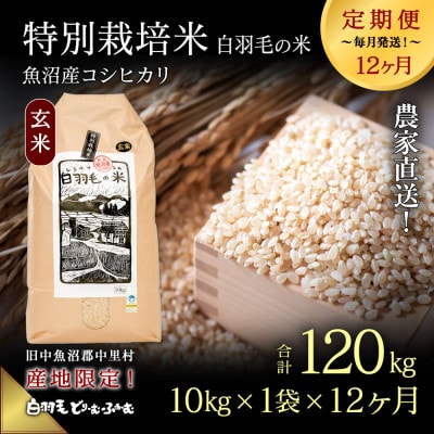 【毎月定期便】農家直送!魚沼産コシヒカリ特別栽培 玄米(10kg×1袋)全12回