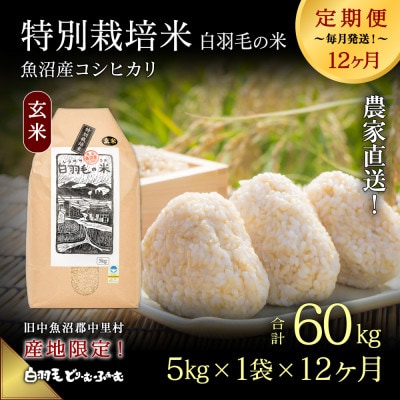 【毎月定期便】農家直送!魚沼産コシヒカリ特別栽培 玄米(5kg×1袋)全12回