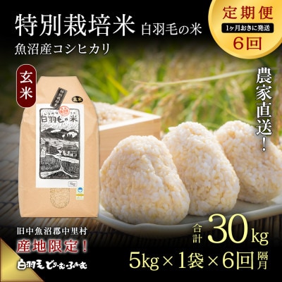 【2ヵ月毎定期便】農家直送!魚沼産コシヒカリ特別栽培 玄米(5kg×1袋)全6回