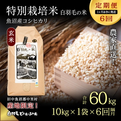 【2ヵ月毎定期便】農家直送!魚沼産コシヒカリ特別栽培 玄米(10kg×1袋)全6回
