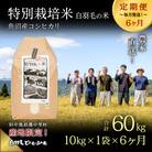【毎月定期便】農家直送!魚沼産コシヒカリ特別栽培 精米(10kg×1袋)全6回