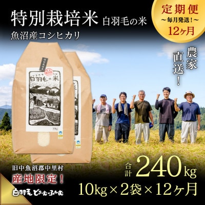 【毎月定期便】農家直送!魚沼産コシヒカリ特別栽培 精米(10kg×2袋)全12回