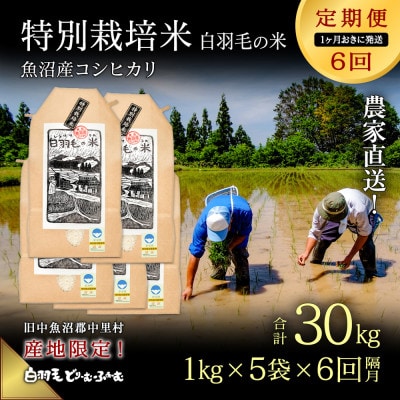 【2ヵ月毎定期便】農家直送!魚沼産コシヒカリ特別栽培 精米(1kg×5袋)全6回