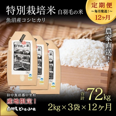【毎月定期便】農家直送!魚沼産コシヒカリ特別栽培 精米(2kg×3袋)全12回