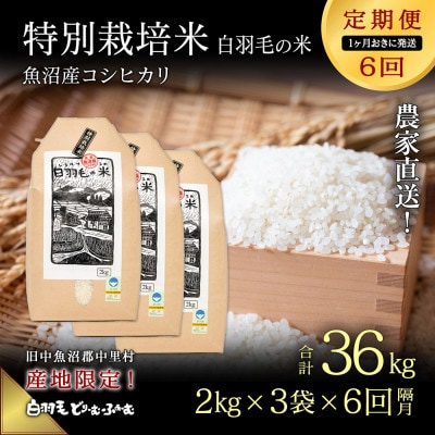【2ヵ月毎定期便】農家直送!魚沼産コシヒカリ特別栽培 精米(2kg×3袋)全6回