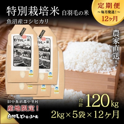 【毎月定期便】農家直送!魚沼産コシヒカリ特別栽培 精米(2kg×5袋)全12回