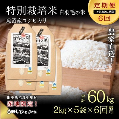 【2ヵ月毎定期便】農家直送!魚沼産コシヒカリ特別栽培 精米(2kg×5袋)全6回
