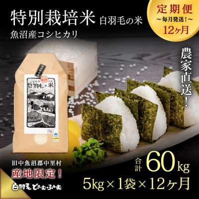 【毎月定期便】農家直送!魚沼産コシヒカリ特別栽培 精米(5kg×1袋)全12回