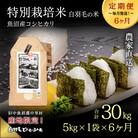 【毎月定期便】農家直送!魚沼産コシヒカリ特別栽培 精米(5kg×1袋)全6回