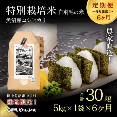 【毎月定期便】農家直送!魚沼産コシヒカリ特別栽培 精米(5kg×1袋)全6回
