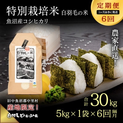 【2ヵ月毎定期便】農家直送!魚沼産コシヒカリ特別栽培 精米(5kg×1袋)全6回